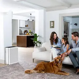 Очищувач повітря Levoit VeSync EverestAir Smart True LAP-E551S-AEUR [HEAPAPLVSEU0148Y] [108294] - мініатюра 6