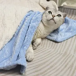 Плед для тварин Soft Warm Fluffy Pet Blanket 60х80 см Темно-синій - мініатюра 7