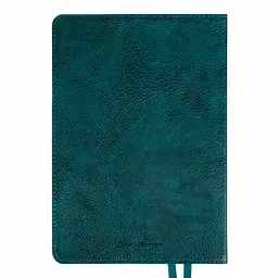 Щоденник діловий Leo Planner 2027 Prime А5 інтегральний смарагдовий 368 сторінок (252730) - мініатюра 19