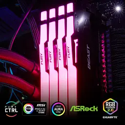 Модуль пам'яті для комп'ютера DDR5 32GB 5600 MHz Beast RGB XMP Kingston Fury (ex.HyperX) (KF556C40BBA-32) - мініатюра 10