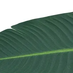 Штучне листя Engard Banana Tree 63 см (TW-51) - мініатюра 5