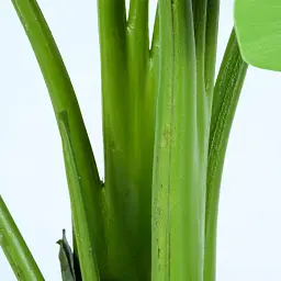 Штучна рослина Engard Banana Tree 120 см (TW-24 ) - мініатюра 4