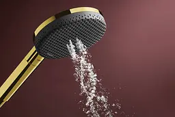 Ручний душ Hansgrohe Raindance Alive Select S EcoSmart polished gold optic 24511990 - мініатюра 3