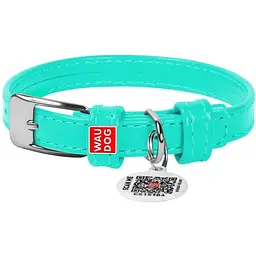 Нашийник для собак Waudog Glamour, шкіряний, з QR паспортом, 21-29х1,2 см, ментоловий