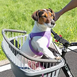 ATLAS BIKE 10 RAPID - мініатюра 4