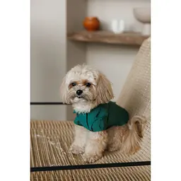 Сорочка Pet Fashion Seaman для собак XХS - мініатюра 3