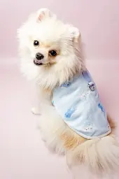 Охолоджувальна жилетка для собак HipiDog з дельфінами XL
