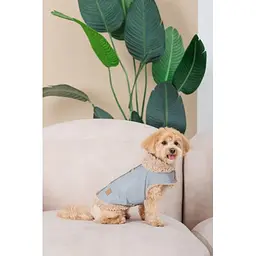 Шлея-жилет Pet Fashion Rob для собак розмір XS2 - мініатюра 10