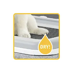 Туалет для цуценят та собак малих порід Stefanplast Puppy Training Set, 60х40х4 см, сірий (PRO600) - мініатюра 4