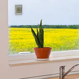 Термометр віконний TFA WINDOO 30106715 - мініатюра 6