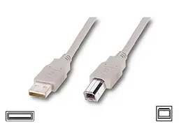 Кабель для принтера TCOM Usb 2.0 AM/BM довжина 1.8 м білий - мініатюра 3