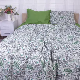 Наволочка MirSon Dollars 17-0589 Ranforce Elite 45х45 см різнокольорова - мініатюра 3