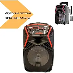 Акустична система XPRO 895 з мікрофоном (MER-15704_2772) - мініатюра 2