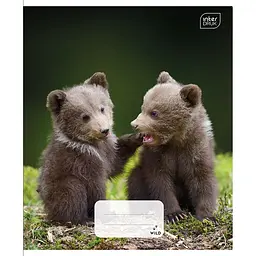 Набір зошитів учнівських Interdruk Premium Wild Collection 4 А5 в клітинку 12 аркушів 4 шт. (354419-4) - мініатюра 2