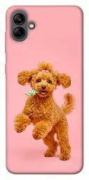 TPU чохол Demsky Happy poodle для Samsung Galaxy A04