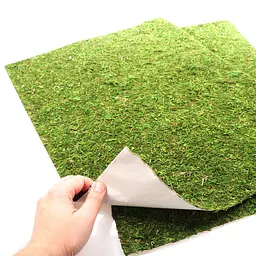 Фон з натурального моху Repti-Zoo Natural Moss Back & Bottom 50x25см 2 шт (NCM5025) для тераріуму