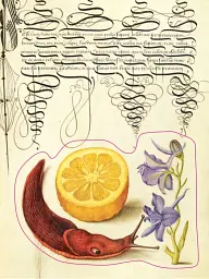 The Esoterica Sticker Book. From Astrology to Tarot - мініатюра 7