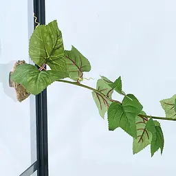 Штучна рослина Repti‑Zoo Magnetic Plant 63 см (TP084) – магнітний штучний плющ для тераріумів - мініатюра 4