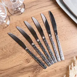 Набір столових ножів 6 шт нержавіюча сталь гальванічне покриття TS Kitchen HP692 - мініатюра 3