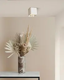 Точковий світильник Polux 325402 Xeno GU10 1x10W IP20 WH - мініатюра 4
