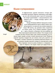 Енциклопедія для допитливих А5 : Хижаки (Українська, 01 КРЕЙДОВАНИЙ ) - мініатюра 8