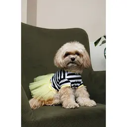 Сукня Pet Fashion Liana для собак М - мініатюра 4
