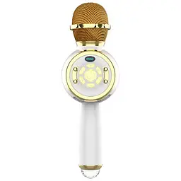 Караоке Мікрофон-колонка DS810 Gold - мініатюра 2