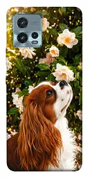 TPU чохол Demsky Flower spaniel для Motorola Moto G72