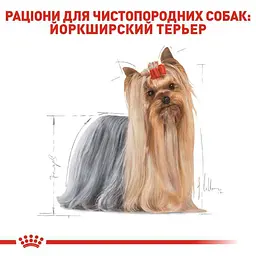 Сухий корм для дорослих собак породи Йоркширський Тер'єр Royal Canin Yorkshire Terrier Adult, 3 кг (3051030) - мініатюра 3