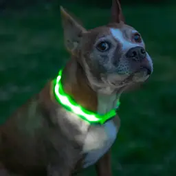 Нашийник для собак UFT PET LED 1 Green L з підсвічуванням на батарейках - мініатюра 3