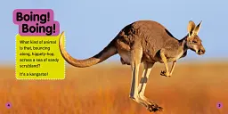 Explore My World: Kangaroos - мініатюра 2