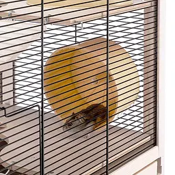 Деревяна клітка Ferplast Hamsterville для хом`яків та мишей - мініатюра 10