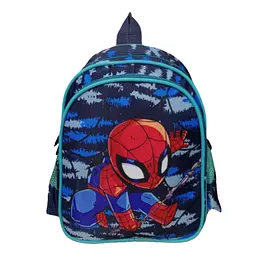Рюкзак шкільний Герої мультфільмів, 33x27x12 см, C62510 (В асортименті)