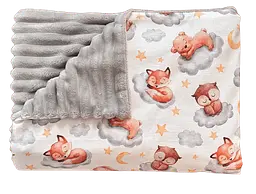 Дитячий плед покривало для новонародженого малюка плюшевий на виписку в коляску для прогулянок або ліжечко для дітей BST сірий з коричневим