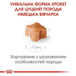 Сухий корм для цуценят породи Німецька вівчарка Royal Canin German Shepherd Puppy, 12 кг (25191201) - мініатюра 3