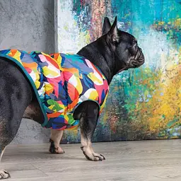 Жилет Pet Fashion Spring для собак, розмір XS, принт - мініатюра 5