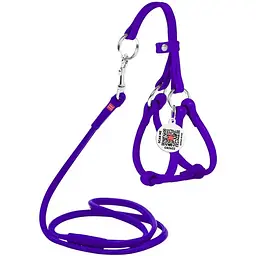 Шлея з повідцем для собак Waudog Glamour, шкіряна, кругла, з QR паспортом, 26-46х30-50х0,6/105 см, фіолетовий (34019)