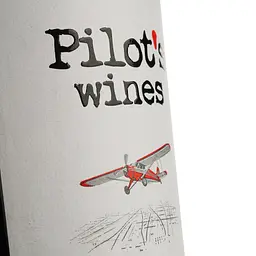 Вино Pilot’s Wines Cabernet червоне сухе 0.75 л - мініатюра 4