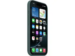 Чохол для смартфона Apple iPhone 16 Pro Silicone Case with MagSafe - Lake Green (MYYR3) - мініатюра 2