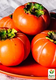 Саджанець Agro-Market Хурма Божий дар на віргінській морозостійкій підщепі 1 шт. в упаковці (42996) - мініатюра 5