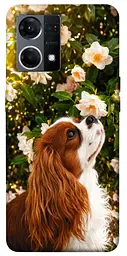 TPU чохол Demsky Flower spaniel для Oppo Reno 7 4G