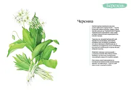 Кулінарний записник Весна - мініатюра 3