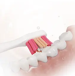 Насадка для зубної щітки Sencor SOX 103 Білий (6857164) - мініатюра 2