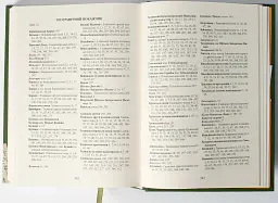 Присяга Гадяцького полку 1718 року (Друге видання) - Сергій Горобець - мініатюра 9