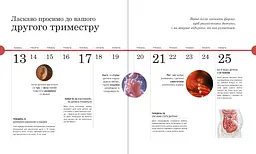 Вагітність день за днем - Меґґі Блотт (518979) - мініатюра 6