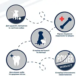 Вітамінно-мінеральна добавка для собак Dr.Clauder's Mineral & Fit Bonefort у період інтенсивного росту або для собак похилого віку 500 г - мініатюра 2