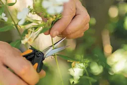 Ножиці Fiskars Solid Micro-Tip SP13 для мікрообрізки (1051600) - мініатюра 6