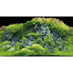 Задній фон Hobby Planted River/Green Rocks 100x50 см (31044) - мініатюра 3