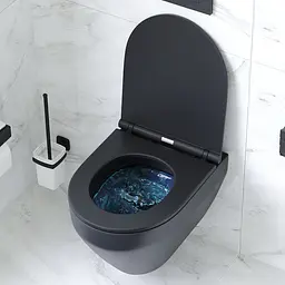 Унітаз підвісний FlashClean з сидінням мікроліфт AM.PM Spirit V2.0 C701700MBSC - мініатюра 3