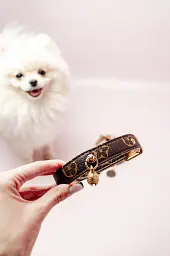 Нашийник в стилі Louis Vuitton із дзвіночком XS (коричневий)